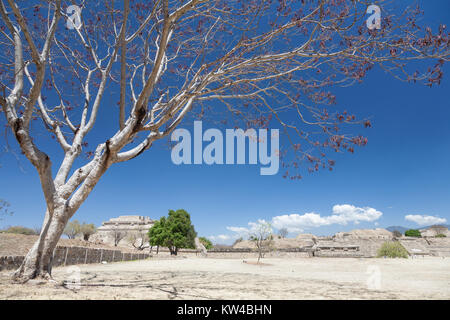Mit Blick auf den Monte Alban, einem großen Präkolumbianischen archäologischen Stätte, Santa Cruz Stateб Xoxocotlan Gemeinde, Oaxaca, Mexiko. Gehört zu der Liste der UNESO Stockfoto