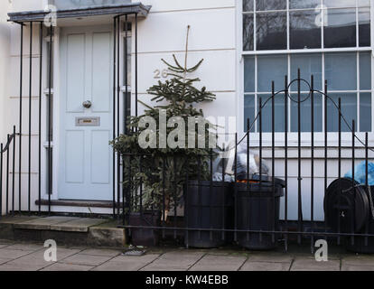 Eine weggeworfene Weihnachtsbaum wird mit dem Müll außerhalb eines Hauses in Islington, London. Stockfoto