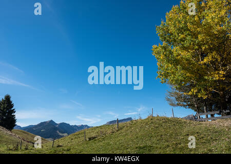 Schöne Landschaft mit Baum im Kleinwalsertal, Österreich Stockfoto