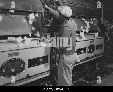 Ein ungelernter Arbeiter entfernt Samen aus einer Cotton Gin auf der Hopson Plantage in Clarksdale, Mississippi, November, 1939. Stockfoto