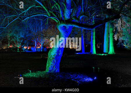 Weihnachtsbaumbeleuchtungen und Pagode in RHS Wisley Gardens, Surrey, England. Weihnachten Leuchten Festival 2017 Stockfoto