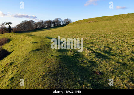 Abendsonne auf westliche Stadtmauer von Cadbury Castle Hill Fort, South Somerset Stockfoto