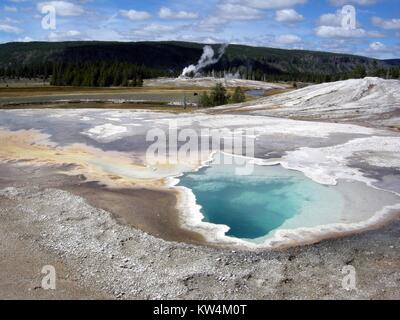 Herz Frühling in der Upper Geyser Basin mit Schloss Geysir im Hintergrund, Yellowstone National Park, Wyoming, September, 2010. Bild mit freundlicher Genehmigung von Diane Renkin/Yellowstone National Park. Stockfoto