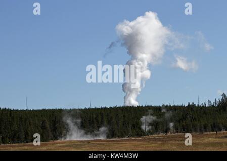 Der Dampf Phase der Steamboat Geyser im Norris Geyser Basin, Yellowstone National Park, Wyoming, 4. September 2014. Bild mit freundlicher Genehmigung von Jim Peaco/Yellowstone National Park. Stockfoto