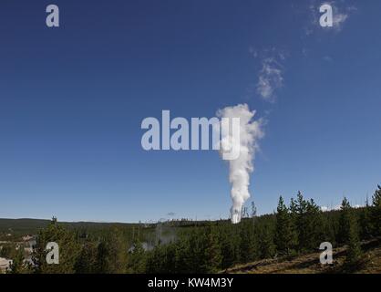 Der Dampf Phase der Steamboat Geyser im Norris Geyser Basin, Yellowstone National Park, Wyoming, 4. September 2014. Bild mit freundlicher Genehmigung von Jim Peaco/Yellowstone National Park. Stockfoto