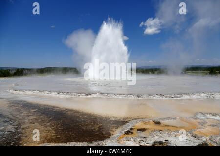 Great Fountain Geysir Ausbruch, Yellowstone National Park, Wyoming, Juli, 2015. Bild mit freundlicher Genehmigung von Diane Renkin/Yellowstone National Park. Stockfoto