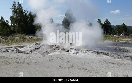 Dampf stieg von Jet Geyser, Yellowstone National Park, Wyoming, Juli, 2015. Bild mit freundlicher Genehmigung von Diane Renkin/Yellowstone National Park. Stockfoto