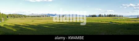 Panoramablick auf die Landschaft Foto von Pelican Creek, Yellowstone National Park, Wyoming, Juli, 2015. Bild mit freundlicher Genehmigung von Diane Renkin/Yellowstone National Park. Stockfoto