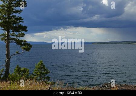 Yellowstone Lake und der Washburn Bereich wie aus dem Vorgebirge, Yellowstone National Park, Wyoming, Juli 2015 gesehen. Bild mit freundlicher Genehmigung von Diane Renkin/Yellowstone National Park. Stockfoto