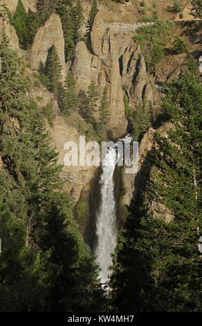 Turm fallen auf Turm Creek, Yellowstone National Park, Wyoming, Juli, 2015. Bild mit freundlicher Genehmigung von Jim Peaco/Yellowstone National Park. Stockfoto