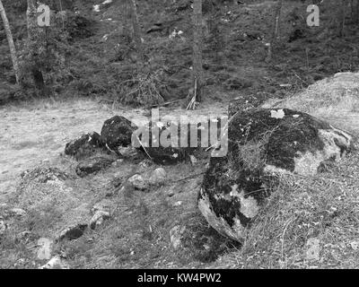 Interessanter Blick auf Felsbrocken Felsen bedeckt mit Moos. Wird inline mit Bäumen im Hintergrund. Stockfoto