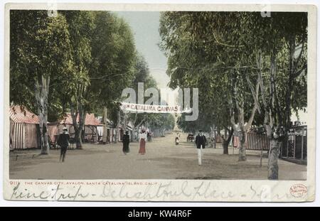 Von Bäumen gesäumten Straße mit Fußgängern, Leinwand Stadt, Avalon, Santa Catalina Island, Kalifornien, USA, 1914. Von der New York Public Library. () Stockfoto