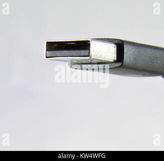 Ein männlicher Typ A USB-Steckverbinder für conneting Peripheriegeräte für Computer Stockfoto