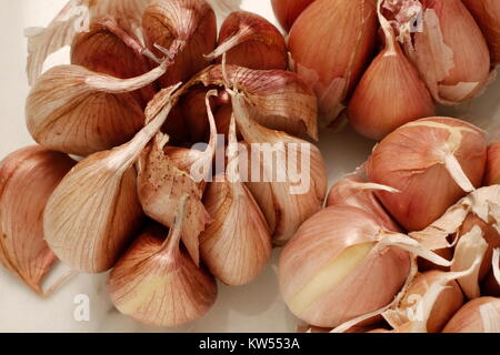 Knoblauch (Allium sativum), Knoblauchzehen Stockfoto