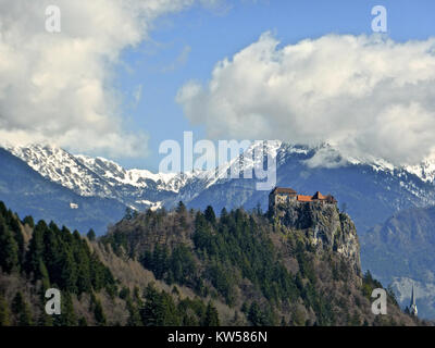 Die Burg von Bled 2013 Stockfoto