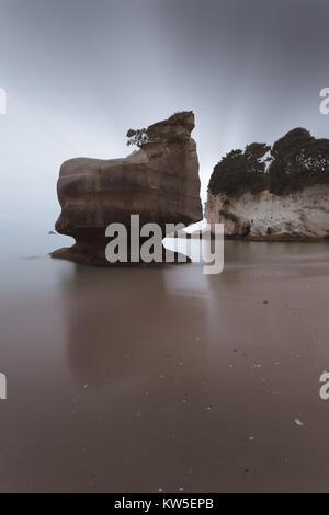 Sphinx Rock Sea im Mare's Leg Cove, in der Nähe von Hahei auf der Coromandel, North Island, Neuseeland im Regen auf einem Stimmungsvollen und atmosphärischen Tag stack. Stockfoto