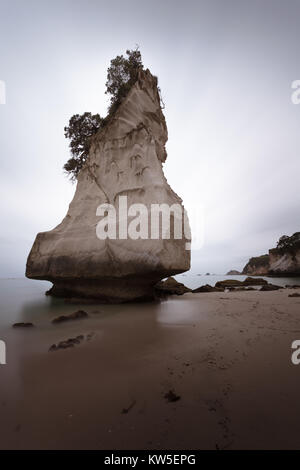 Te Hoho Rock Sea Towers über einen stimmungsvollen und atmosphärischen Cathedral Cove, in der Nähe von Hahei auf der Coromandel Halbinsel, North Island, Neuseeland Stapel Stockfoto