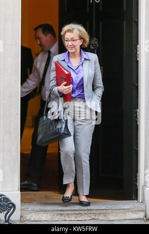 Die Minister nehmen an wöchentlichen Kabinettssitzung in Downing Street Mit: Andrea Leadsom Wo: London, Großbritannien Wann: 28 Aug 2017 Quelle: WENN.com Stockfoto