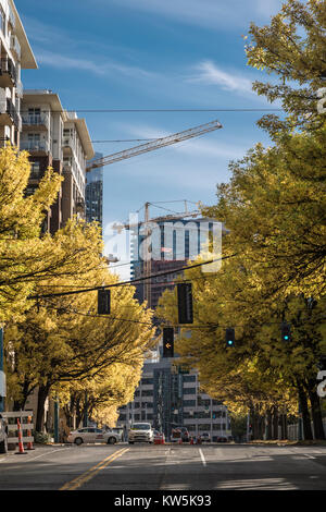 Neue Gebäude durch Herbst Blätter auf den Bäumen gesehen, Seattle, Washington, USA Stockfoto