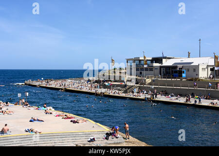 Clovelly Bay, Sydney, New South Wales, Australien Stockfoto