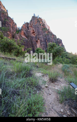 Szene entlang der weinend Wand Wanderweg, der Zion National Park Stockfoto