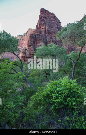 Szene entlang der weinend Wand Wanderweg, der Zion National Park Stockfoto