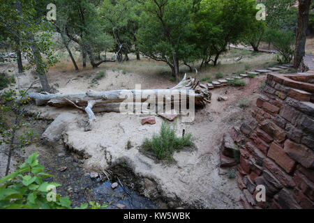 Szene entlang der weinend Wand Wanderweg, der Zion National Park Stockfoto