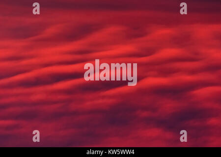 Schöne rote Wolken, Wellen im Himmel Stockfoto