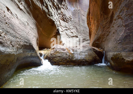 Zwei kleine Wasserfälle um einen großen Fels, zwischen hohen engen Felswände, im Zion National Park Stockfoto