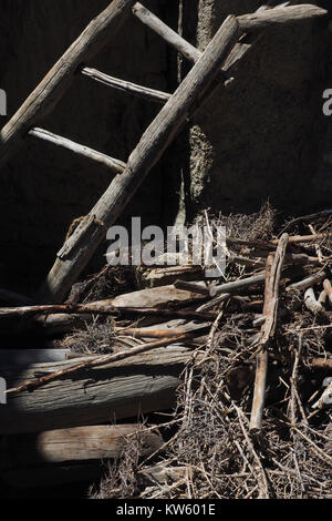 Holz- vintage Treppe, aus jungen Baumstämmen, stehend auf einem Haufen Reisig auf schwarzem Hintergrund. Stockfoto