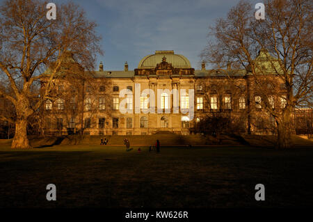 Japanisches Palais, Dresden, Japanisches Palais Stockfoto