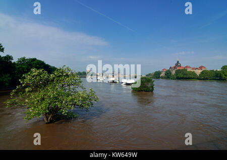 Dresden, hohe Wasser in 2013, Hochwasser 2013 Stockfoto