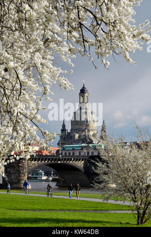 Dresdner Frauenkirche, Dresdner Frauenkirche Stockfoto