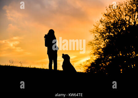 Eigentümer Mädchen und ihre Golden Retriever Hund Silhouetten bei Sonnenuntergang Stockfoto