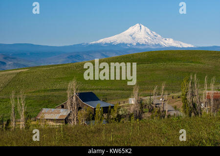 Columbia Hills Natural Area original Ranch Gebäude Stockfoto