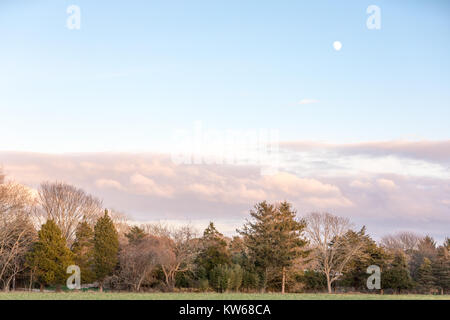 Landschaft mit Sonnenuntergang und Vollmond Stockfoto