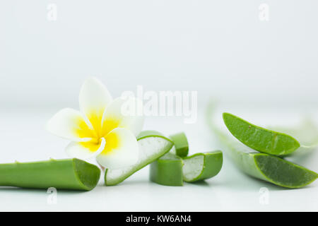 Frische aloe vera blätter kaufen Frische aloe vera blätter kaufen