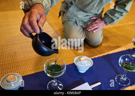 Japan, Honshu, Shizuoka, Sansui, Tee Zeremonie durch den Meister Kaffee Bauer Kiyomi Uchino Stockfoto