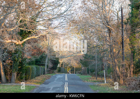 Straße in Eastern Long Island, NY Stockfoto