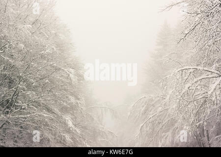 Eingefroren und verschneite Bäume im Winter an einem nebligen und Moody Tag, Vogesen, Frankreich. Stockfoto
