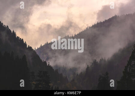 Landschaft von Nebel oder nebligen Berge an einem regnerischen Tag, Vogesen, Frankreich. Stockfoto