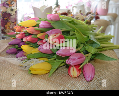 Armful bunte Tulpen lag auf einem Tisch in einem sonnigen Raum. Stockfoto