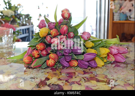 Ein armvoll bunte Tulpen in einem sonnigen Raum. Stockfoto