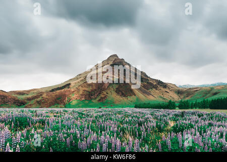 Typische Island Landschaft mit Bergen Stockfoto