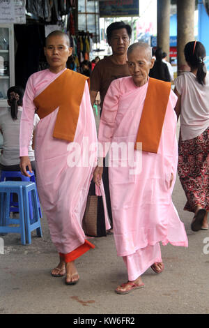 Buddhistische Nonnen auf der Straße in Yangon, Myanmar Stockfoto