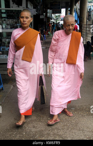 Buddhistische Nonnen auf der Straße in Yangon, Myanmar Stockfoto