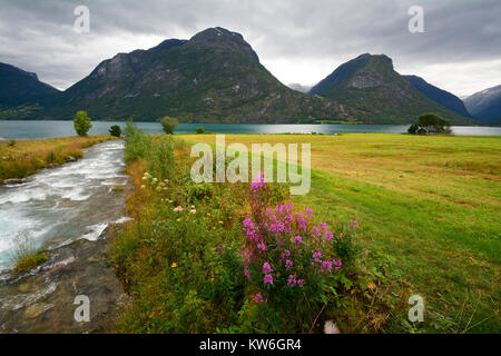 Landschaft, Norwegen Stockfoto