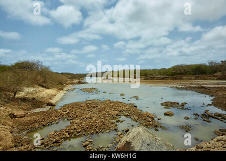 Ribeira Grande oder Ribeira do Rabil Fluss, Boa Vista, Kap Verde, Afrika Stockfoto