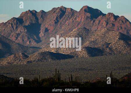 Paisaje y Montaña del Desierto de Sonora Mexiko. Sahuaros, Pitahaya, y otras especies de Cactus y espinos matorrales en Kino y Punta Chueca. Seri Stockfoto