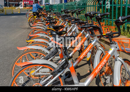 Gemeinschafts-Fahrräder in Nanchang - Als bike-sharing-Geschäft boomt in China, Zeilen und Reihen von Gemeinschafts-bikes Park an der Seite von einer belebten Straße in der Innenstadt von Hefei Stockfoto